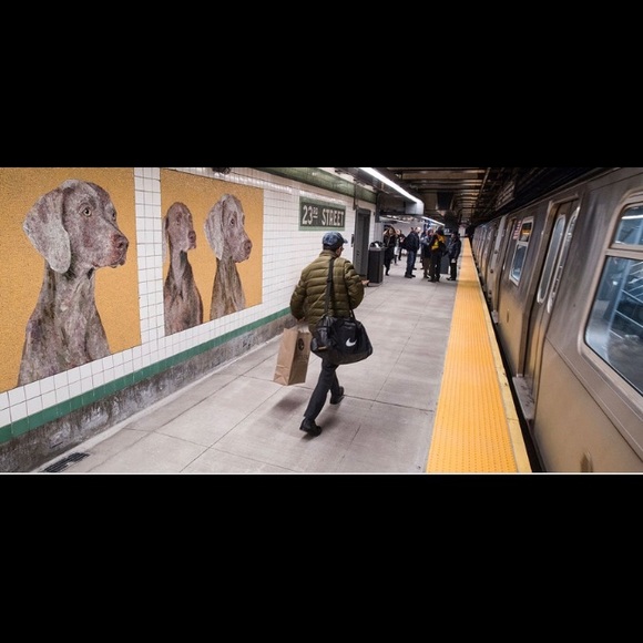 Meet your Posher, Sarah - Picture 7 of 8